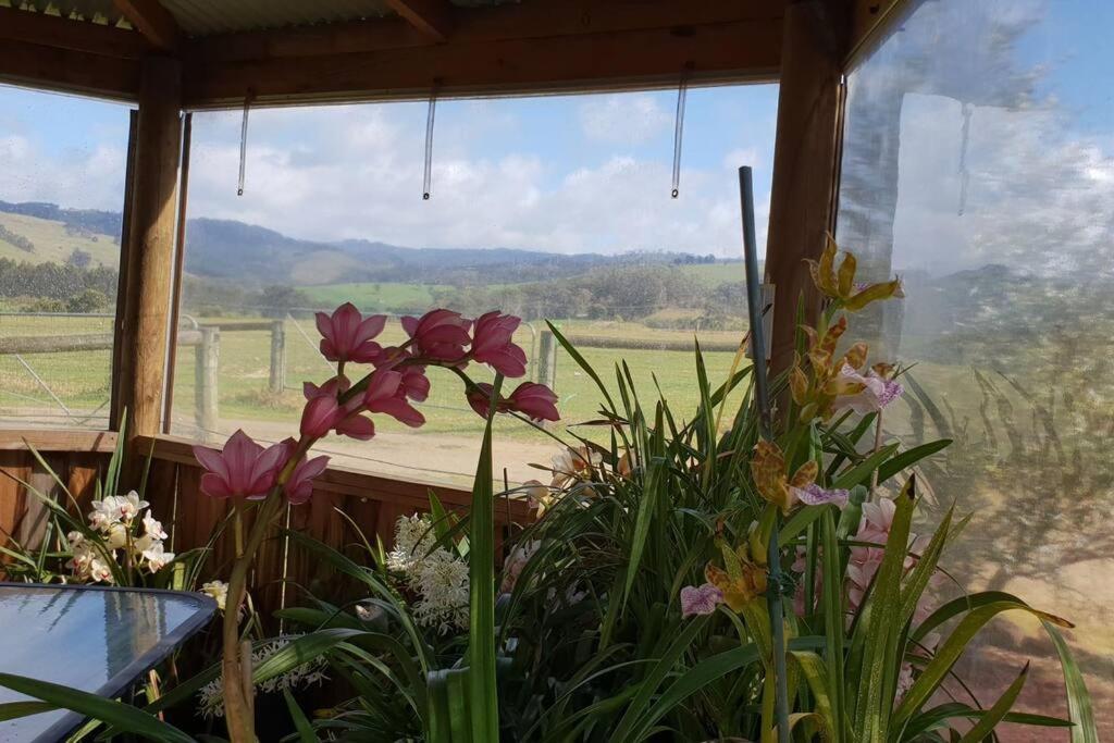 Handsome Hills Dairy Retreat Won Wron Екстер'єр фото